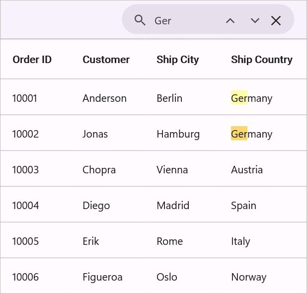 Navigated Search Text in DataGrid