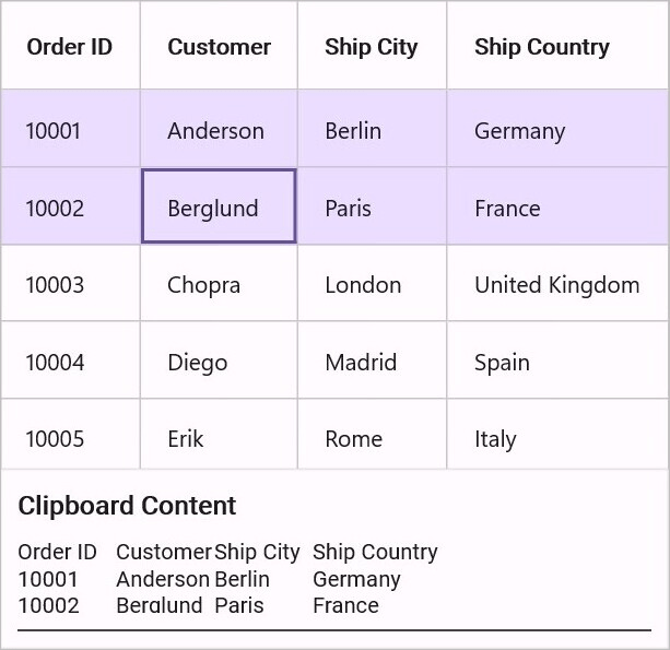 Copy to Clipboard in Maui DataGrid