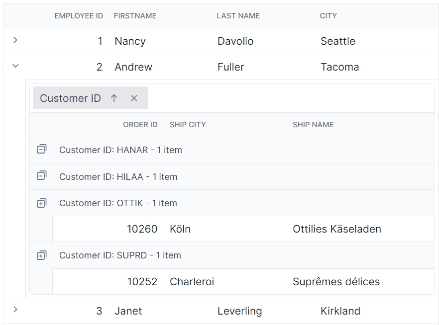 Child grid group expand or collapse icons