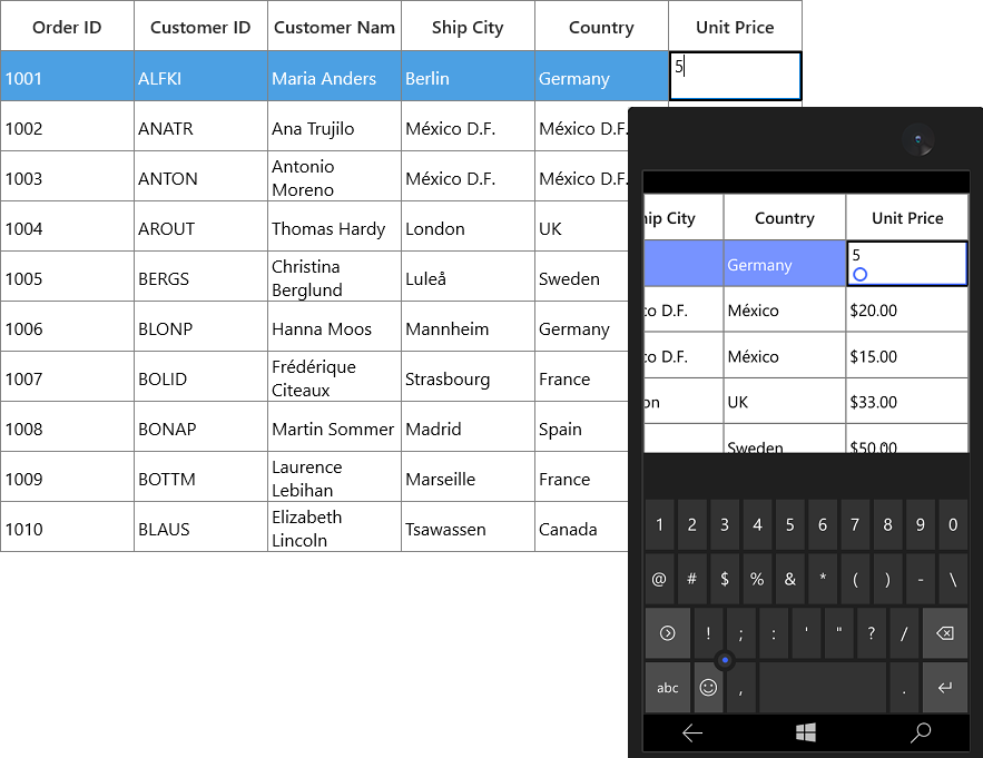 Displaying the currency value in UWP SfDataGrid
