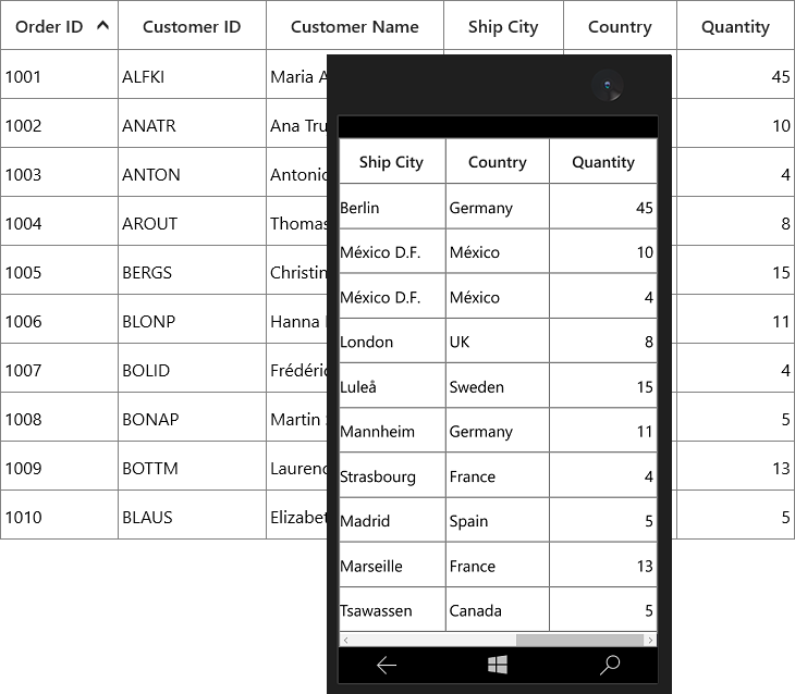 Displaying numeric column in UWP SfDataGrid
