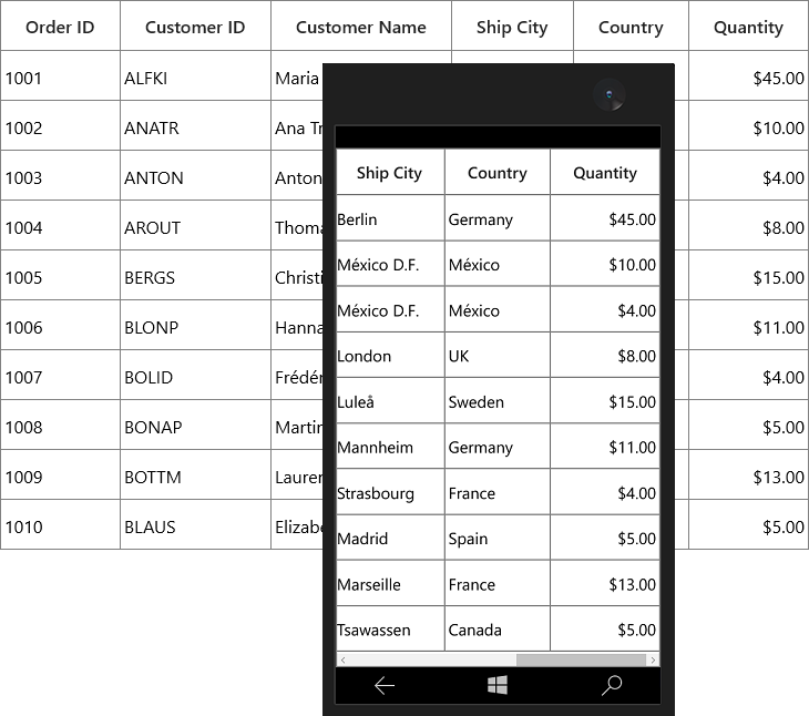 Displaying data formatting of numeric column in UWP SfDataGrid