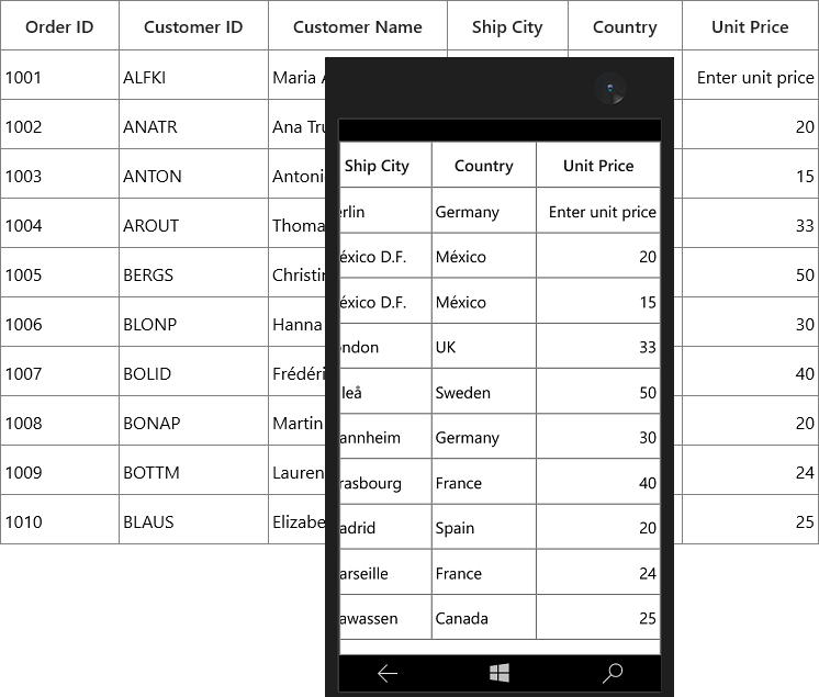 Displaying WaterMark text of numeric column in UWP SfDataGrid