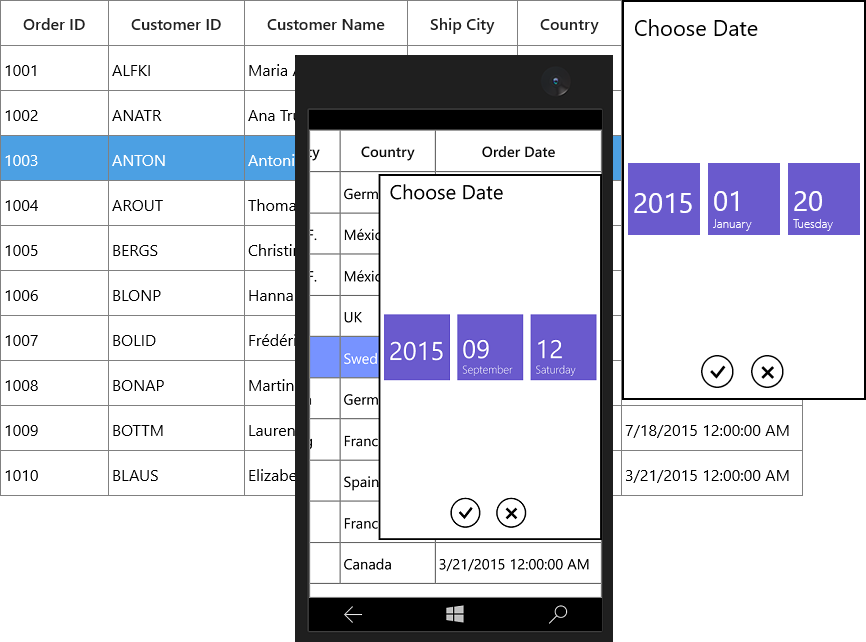 Displaying custom formatting of SelectorItem in GridDateTimeColumn in UWP SfDataGrid