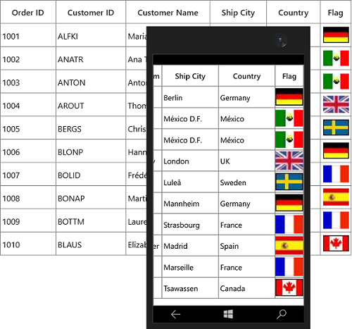 Displaying GridImageColumn in UWP SfDataGrid
