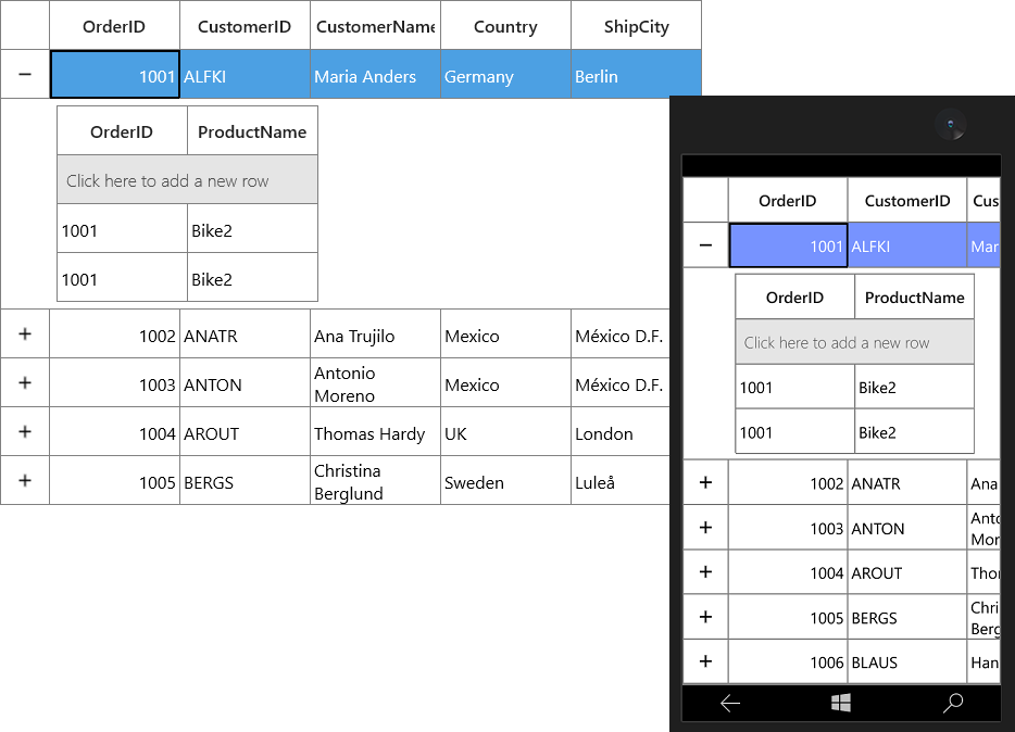 UWP DataGrid with add new row for detailsview