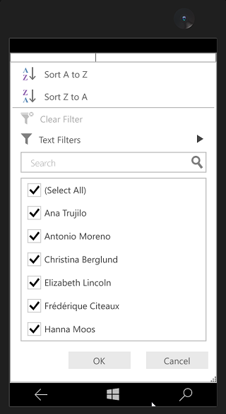 Checkbox Filter View in DataGrid UWP