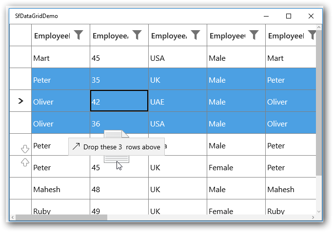 Image used to display the dragging multiple rows in uwp datagrid