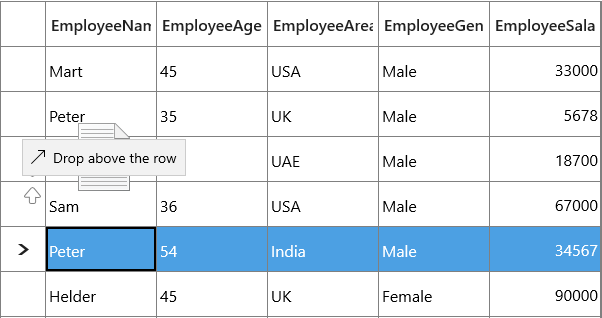 Image used to display the customizing drag ui text in uwp datagrid