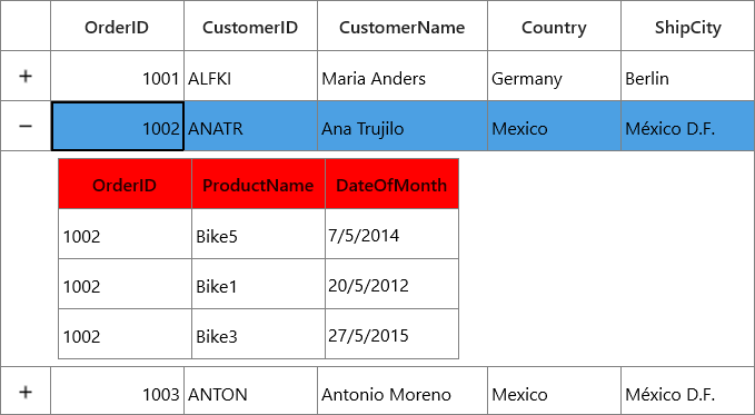header appearance customization in master details view of UWP DataGrid