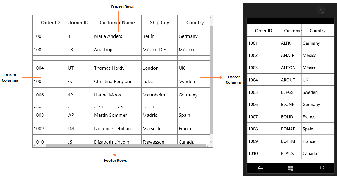Show the Fotter column, Footer rows, Frozen column , Frozen rows in SfDataGrid