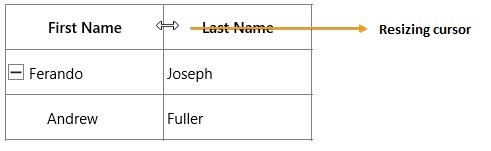 Resizing Columns