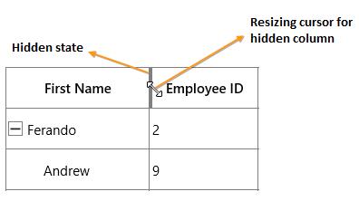 Hidden column resizing