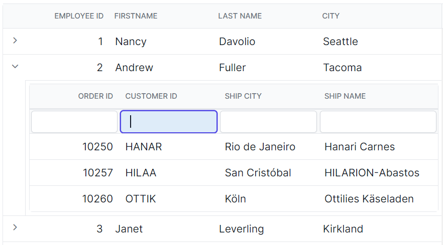 Child gird filter bar input focus