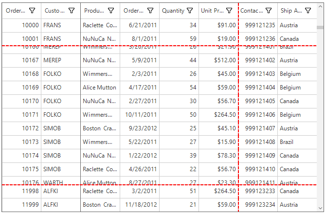 Windows forms datagrid showing freeze line with dotted style