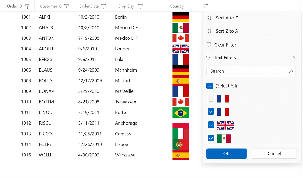 Column Filter with Image in WinUI DataGrid