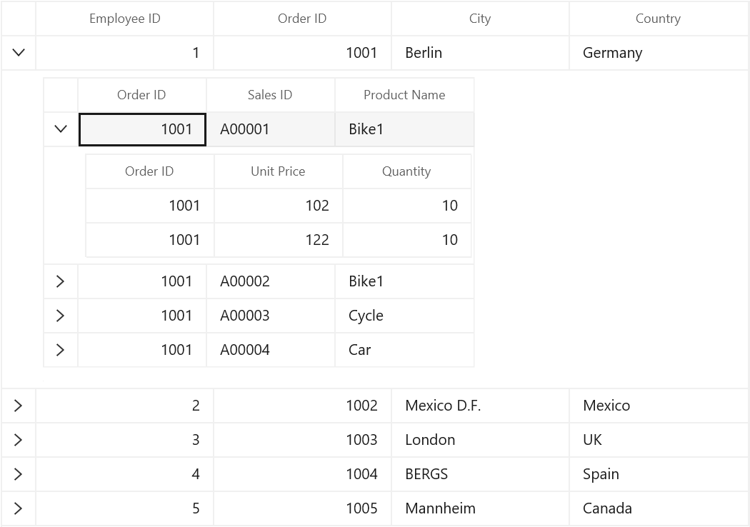 WinUI DataGrid displays Master Details View with Manually defined Relations