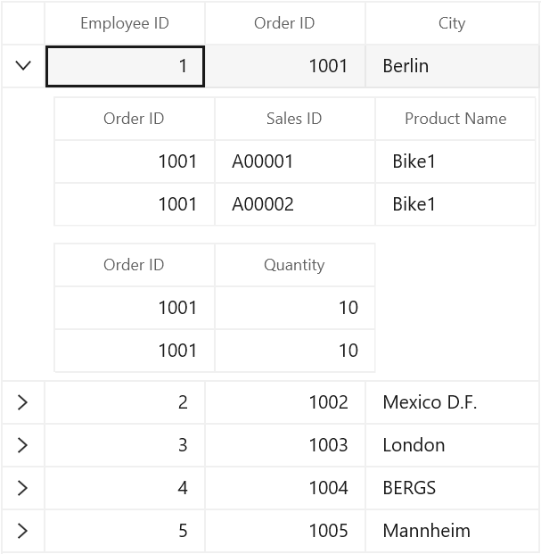 WinUI DataGrid displays Master Details View based on Auto Generated Relations