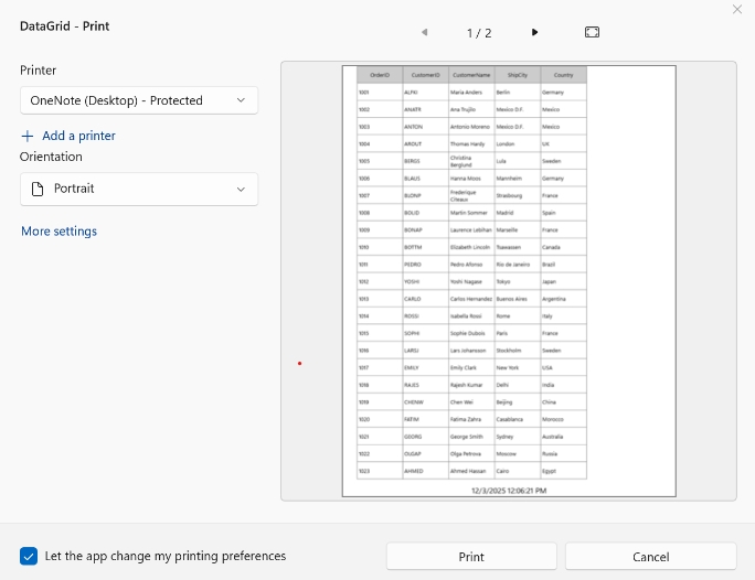 WinUI DataGrid displays Current DateTime in Printing