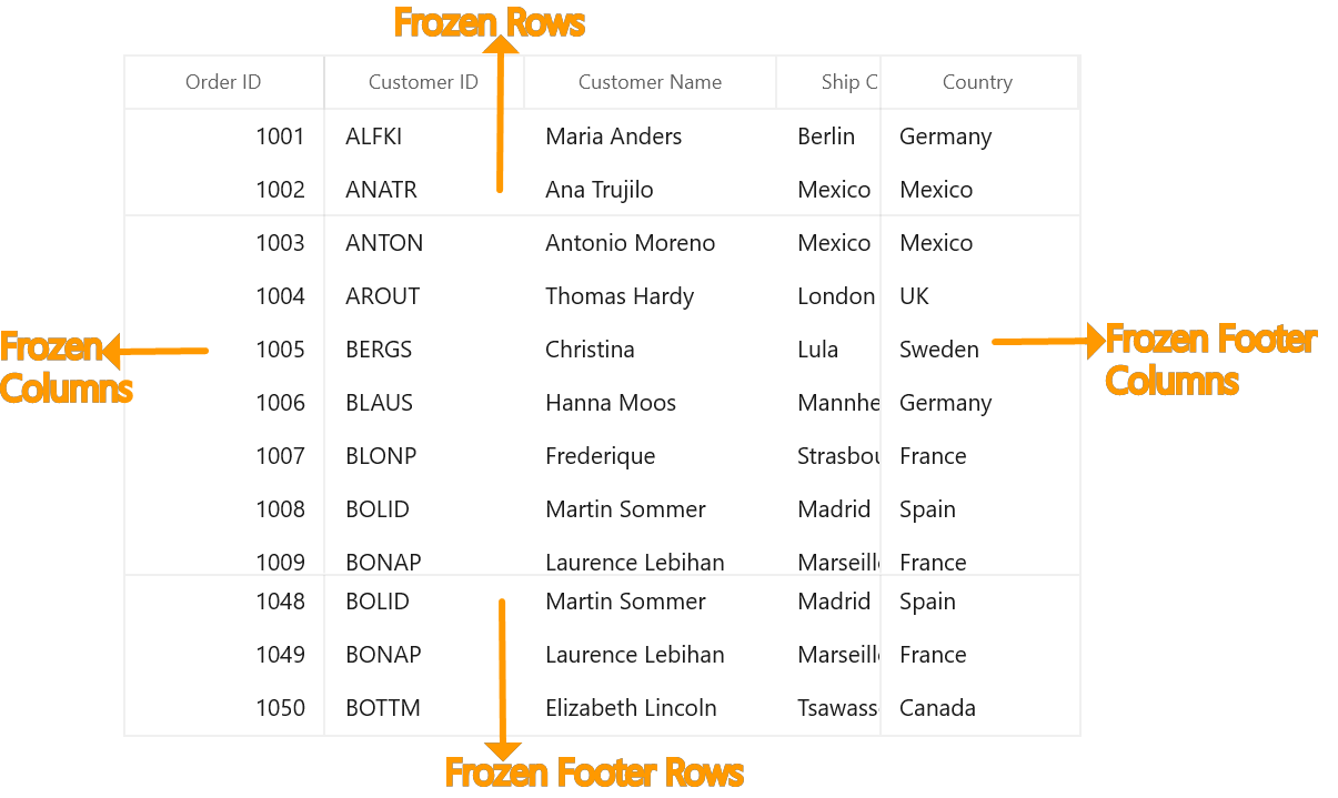 WinUI DataGrid displays Frozen Rows and columns at top and bottom