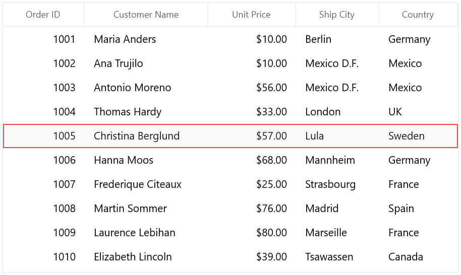 Customizing Row Selection Border in WinUI DataGrid