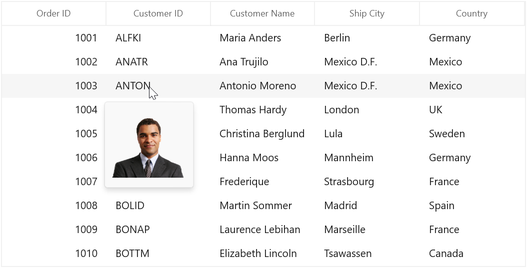 Displaying Tooltip Customization using ToolTipTemplate in WinUI DataGrid