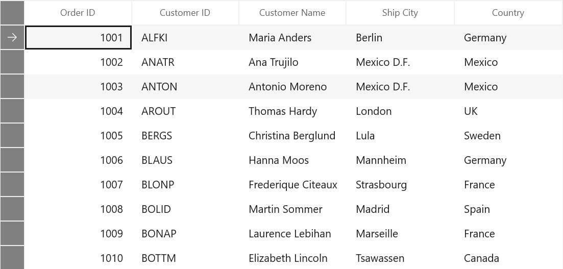 Appearance customization of Row header using key in WinUI DataGrid