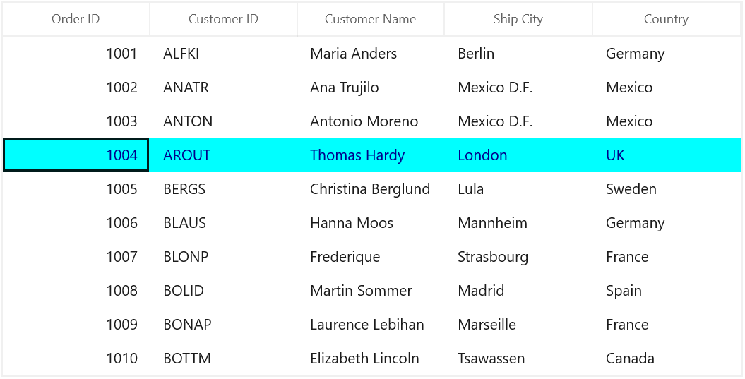 Displaying selection appearance customization for WinUI SfDataGrid