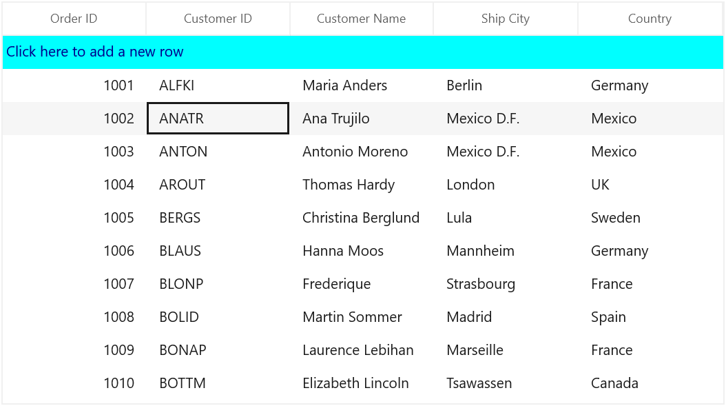Displaying AddNewRow styling in WinUI SfDataGrid