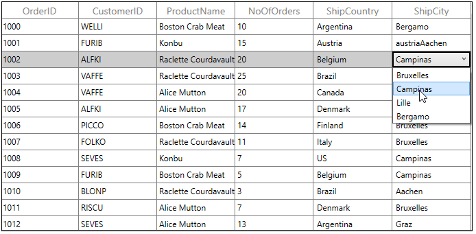 WPF DataGrid Column with ComboBox using Template
