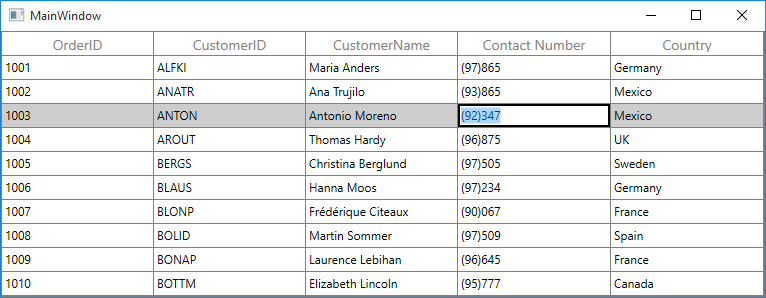 WPF DataGrid with Masked TextBox