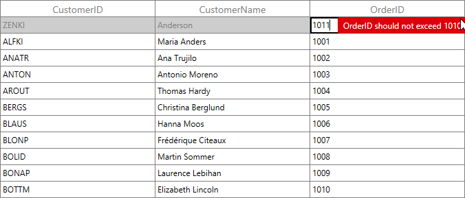 Data Validation in Add New Row in WPF DataGrid