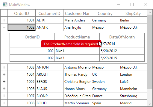 Data Validation with Master-DetailsView in WPF SfDataGrid
