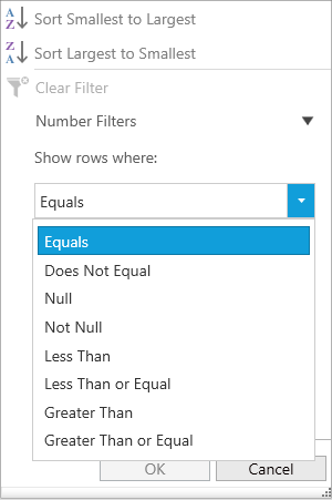 WPF DataGrid displays Number Filter