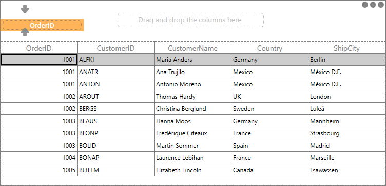 WPF DataGrid with Custom Group Drop Area Text