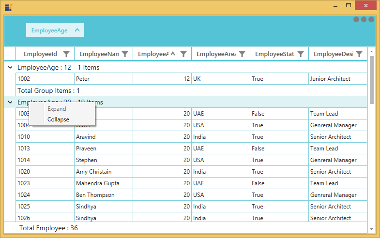 Context Menu for GroupSummaryRows in WPF DataGrid