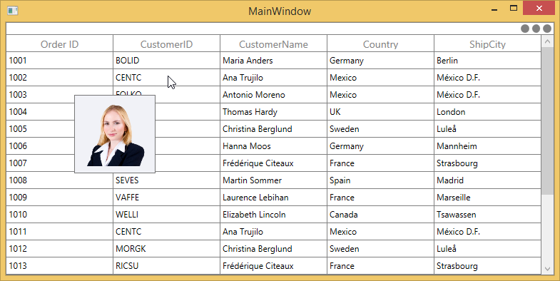 Customizing ToolTip using ToolTipTemplate in WPF DataGrid