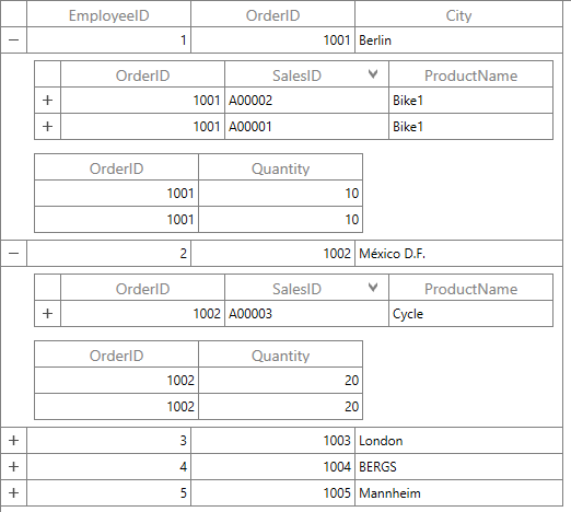 WPF DataGrid in Master Details View