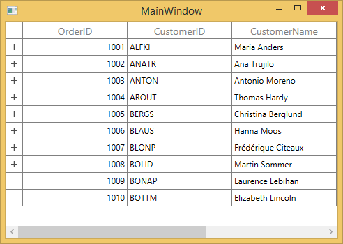 WPF Master Details View DataGrid displays Expander View