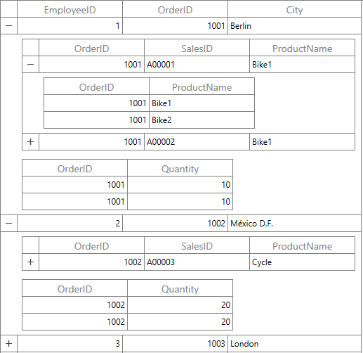 WPF DataGrid with Master Details View