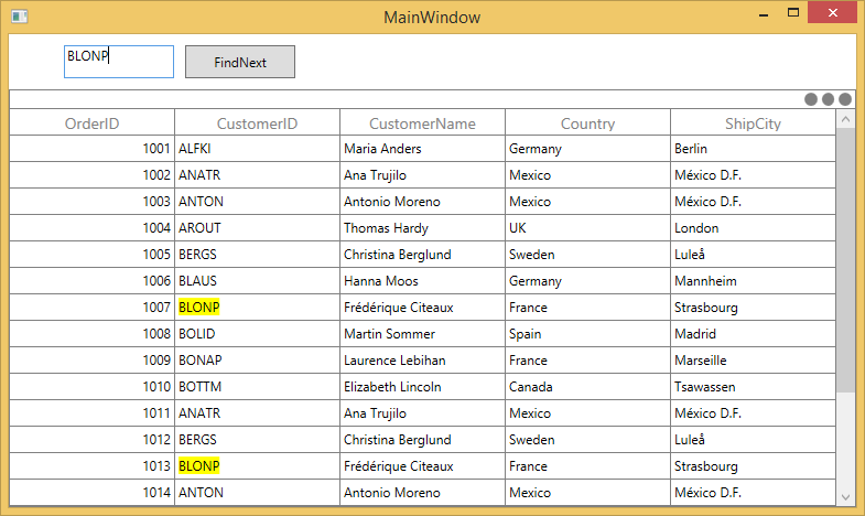 WPF DataGrid with Search Panel
