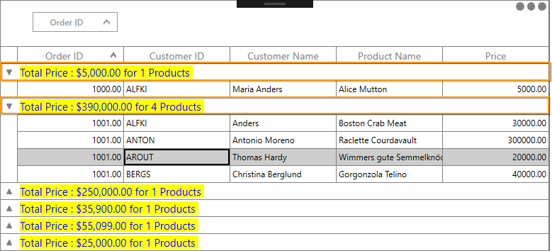 WPF DataGrid displays Caption summary Rows using Template