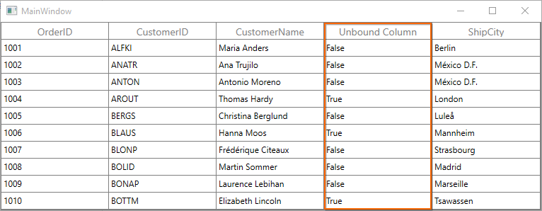 WPF DataGrid displays Unbound Column with Expression