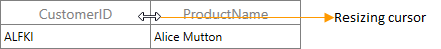 Column Resizing in WPF DataGrid