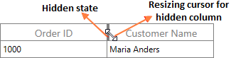 Resizing Hidden Column in WPF DataGrid