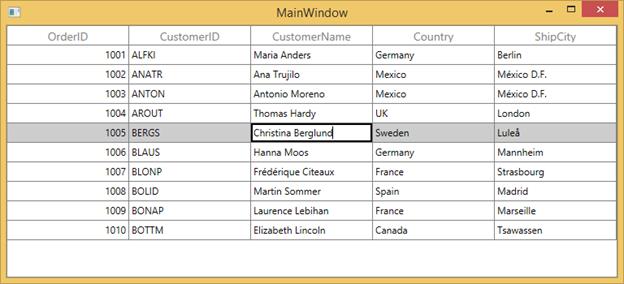 WPF DataGrid Cell Editing