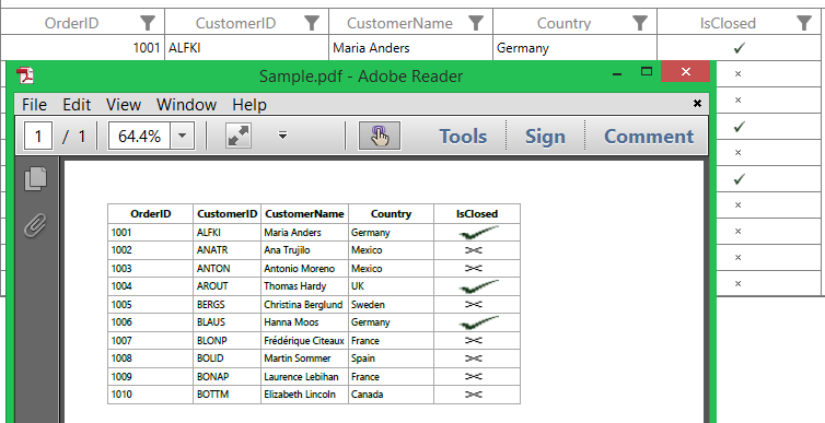 WPF DataGrid displays Export to PDF File with Image