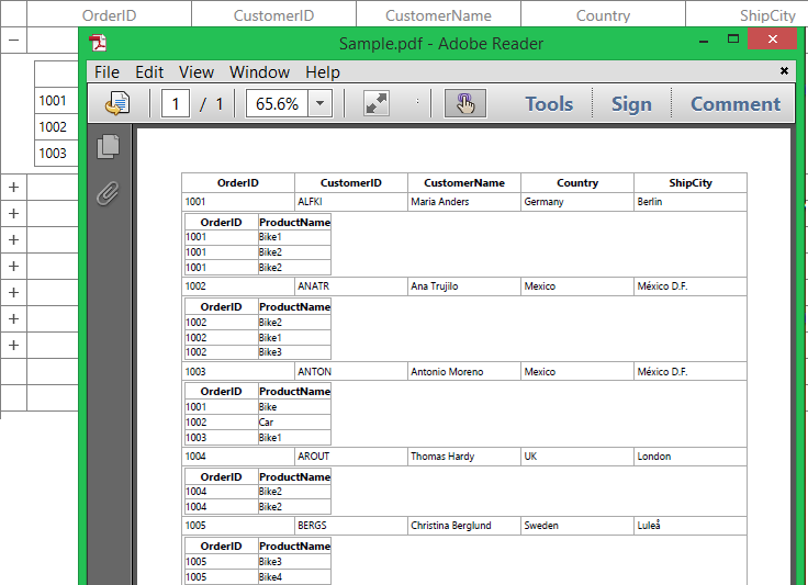 WPF Nested DataGrid Exported to PDF File