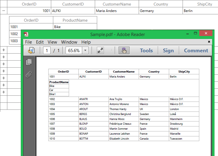 Exporting PDF File from WPF DataGrid without DetailsView