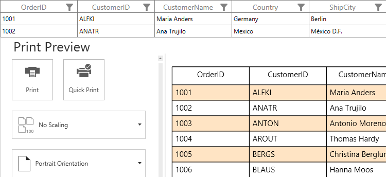 Changing Alternate Row Style while Printing in WPF DataGrid